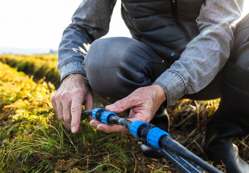 Repair and Replacement